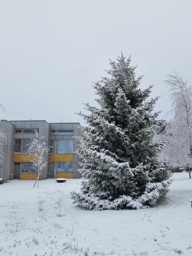 Apartment Max Loučná pod Klínovcem Dış mekan fotoğraf